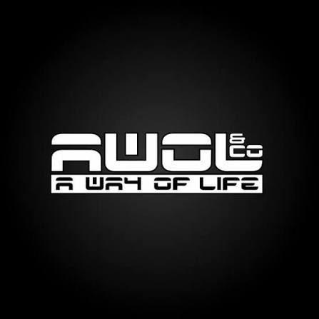 Flyer for A.W.O.L - Vol 2