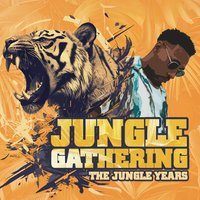 Flyer for Jungle Gathering: The Jungle Years | Doktor, Micky Finn, Bryan G