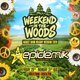 Flyer for Epidemik in the Woods