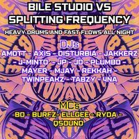 Flyer for Bile Studio V Splitting Frequencies