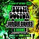 Flyer for Bush Doctor Meets Jungle Cakes