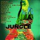 Flyer for Vibez Nation Its A Jungle Ting!
