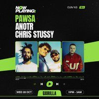 Flyer for NOW PLAYING: PAWSA, ANOTR & Chris Stussy