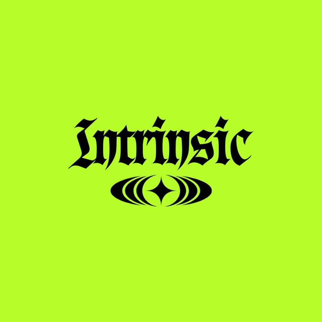 Flyer for Intrinsic 001