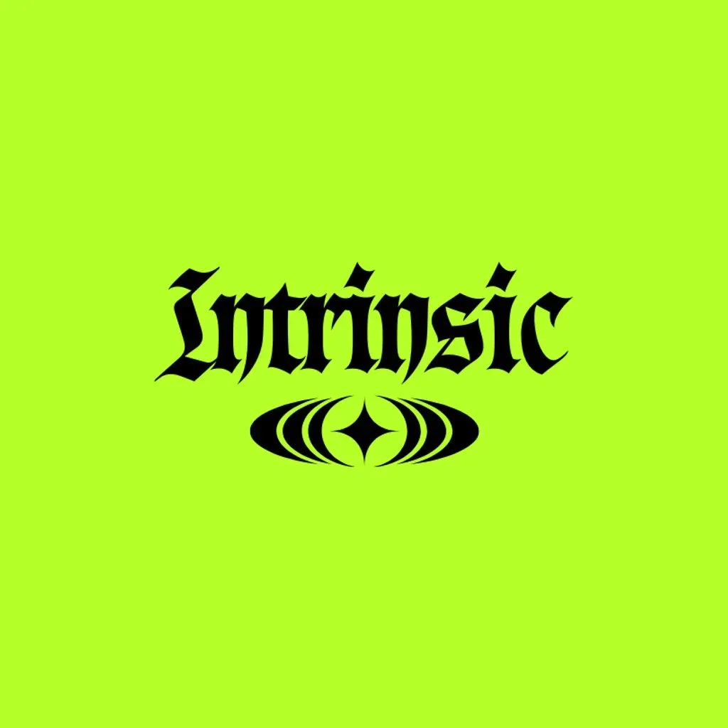 Flyer for Intrinsic 001
