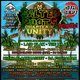 Flyer for Salted Roots Chapter 5 (UNITY)