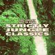 Flyer for Strictly Jungle Classics w/ BRYAN GEE (V Recordings 90 Min Set)
