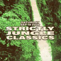 Flyer for Strictly Jungle Classics w/ BRYAN GEE (V Recordings 90 Min Set)
