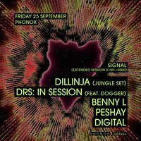 Flyer for Signal: Dillinja, DRS, Dogger, Benny L, Peshay, Digital