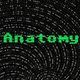 Flyer for Anatomy: Sequence 001