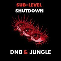Flyer for Sublevel Shutdown - Manchester DNB Rave at Stage + Radio