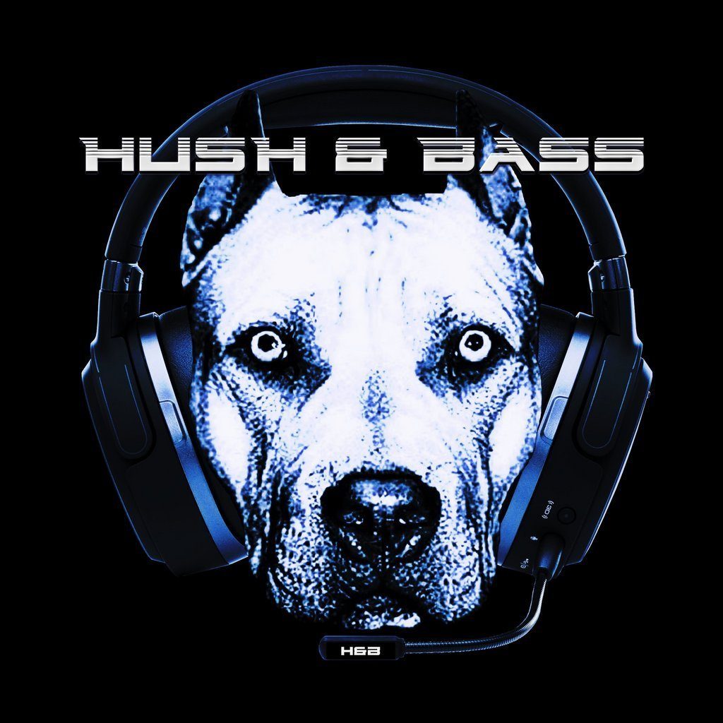 Flyer for Hush & Bass - Jungle/Dub/DnB/Reggae/Techno/Trance